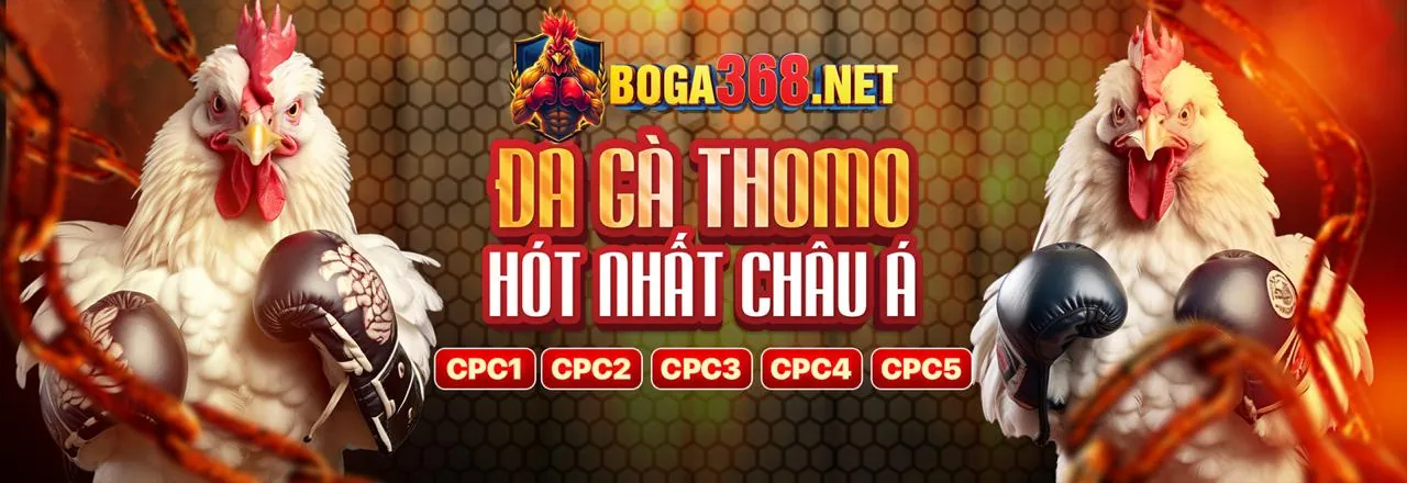 Tin tức và cập nhật mới nhất từ tải 888no